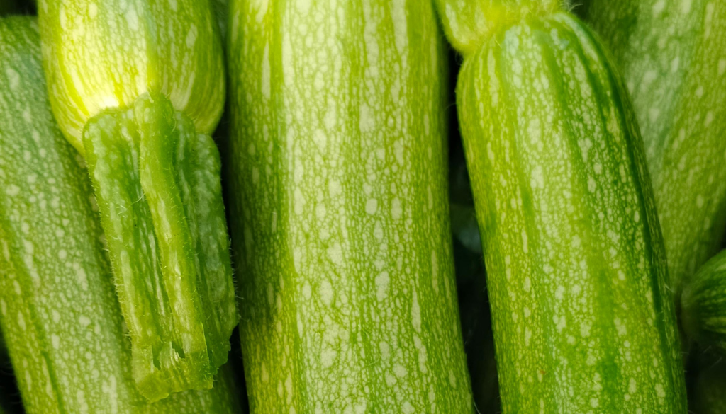 Recette de Courgettes Farcies au Four : Un Plat Savoureux et Facile à Préparer 2 Courgettes Farcies au Four